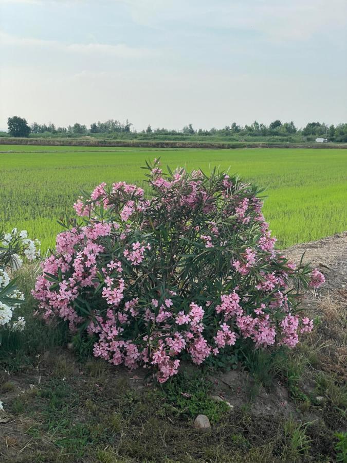 Tenuta Favorita Country House B&B Fontanetto Po Экстерьер фото
